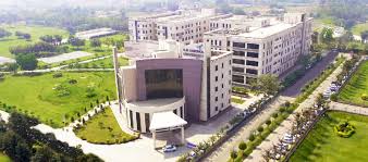 GD Goenka University
